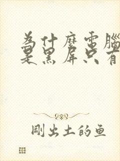 为什么电脑打开是黑屏只有鼠标