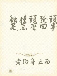 触摸头发头皮疼是怎么回事封面