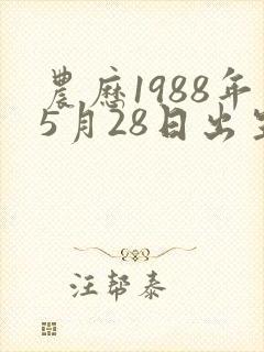 农历1988年5月28日出生男孩的命运封面