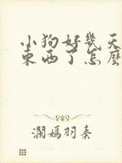 小狗好几天不吃东西了怎么办