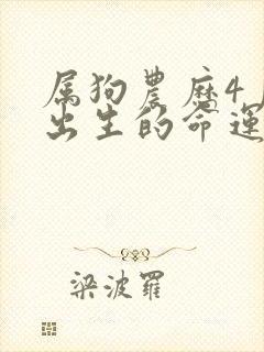 属狗农历4月份出生的命运