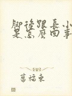 脚后跟长小疙瘩是怎么回事封面