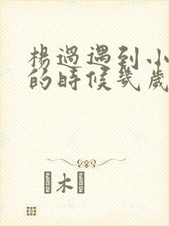 杨过遇到小龙女的时候几岁