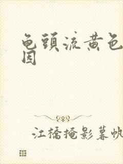 龟头流黄色脓原因