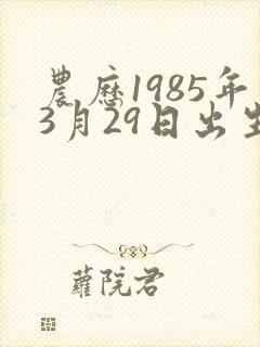 农历1985年3月29日出生人的命运