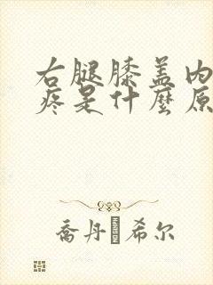 右腿膝盖内侧肿疼是什么原因引起的