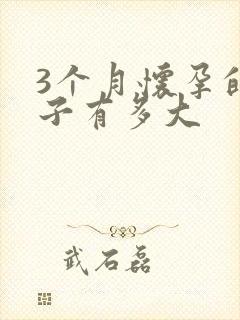 3个月怀孕的肚子有多大