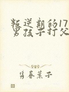 叛逆期的17岁男孩子打父母怎么办封面