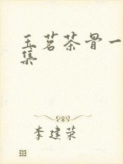 玉茗茶骨一共几集