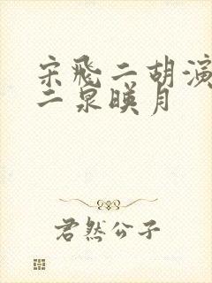 宋飞二胡演奏的二泉映月