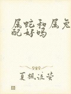 属蛇和属兔的婚配好吗