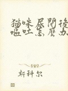 猫咪尿闭后频繁呕吐怎么办封面