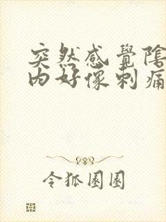 突然感觉阴道口内好像刺痛是什么原因