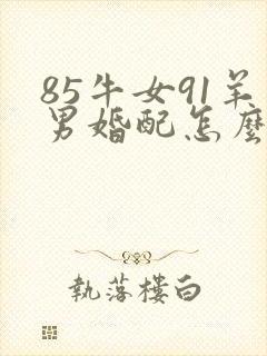 85牛女91羊男婚配怎么样