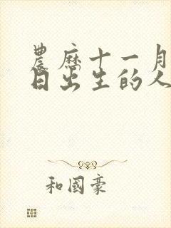 农历十一月十六日出生的人命运