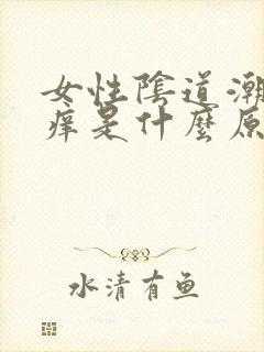 女性阴道潮湿瘙痒是什么原因封面