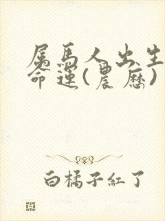 属马人出生日的命运(农历)