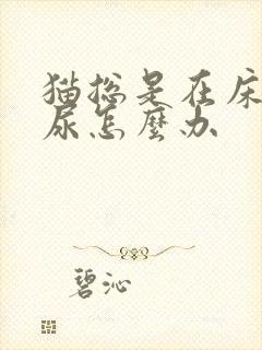 猫总是在床上拉尿怎么办