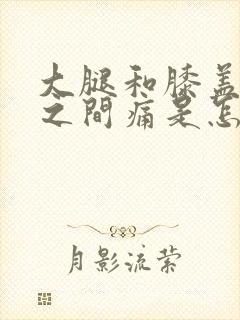 大腿和膝盖骨头之间痛是怎么回事