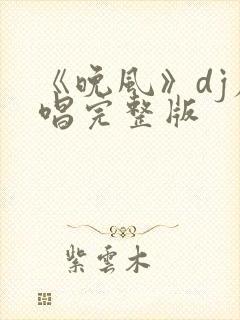 《晚风》dj原唱完整版