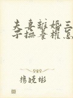 夫妻离婚三个孩子抚养权怎么判定