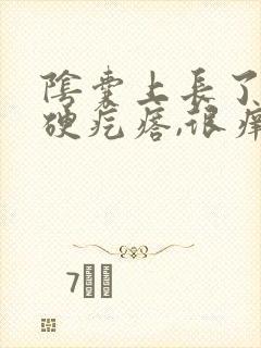 阴囊上长了一个硬疙瘩,很痒