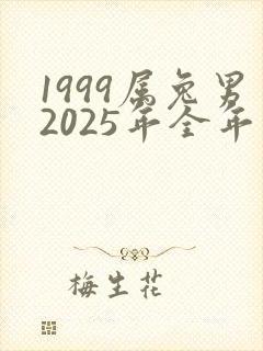 1999属兔男2025年全年运势