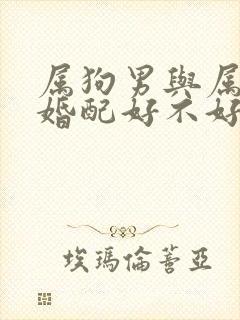 属狗男与属牛女婚配好不好