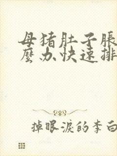 母猪肚子胀气怎么办快速排气