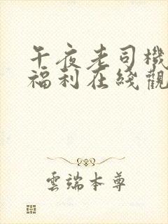 午夜老司机精品福利在线观看封面