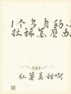 1个多月的小狗拉稀怎么办