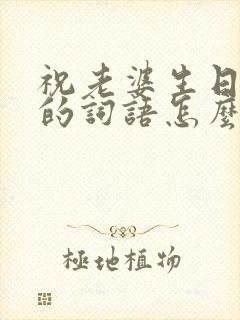 祝老婆生日快乐的词语怎么说