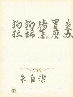 狗狗肠胃炎呕吐拉稀怎么办