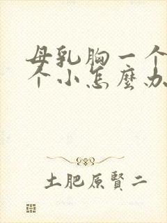 母乳胸一个大一个小怎么办封面