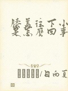 膝盖往下小腿凉是怎么回事封面