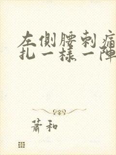 左侧腰刺痛像针扎一样一阵一阵的封面