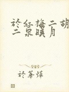 于红梅二胡演奏二泉映月封面