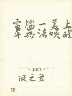 电脑一盖上就黑屏无法唤醒