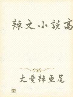 辣文小说高h封面