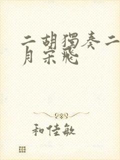 二胡独奏二泉映月宋飞