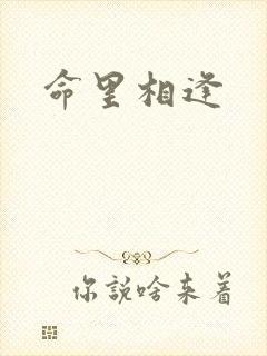 命里相逢