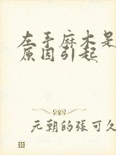 左手麻木是什么原因引起