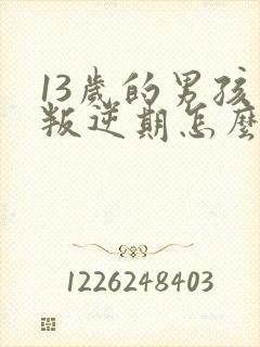 13岁的男孩了叛逆期怎么教