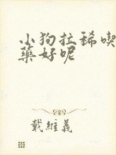 小狗拉稀吃什么药好呢