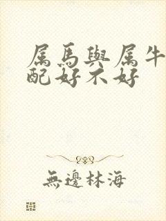 属马与属牛的婚配好不好