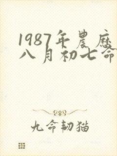 1987年农历八月初七命运