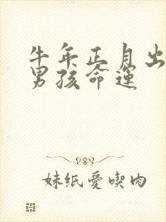 牛年正月出生的男孩命运封面