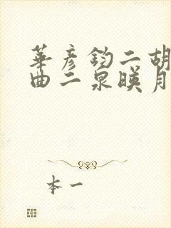 华彦钧二胡独奏曲二泉映月