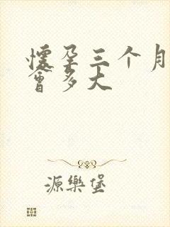 怀孕三个月肚子会多大