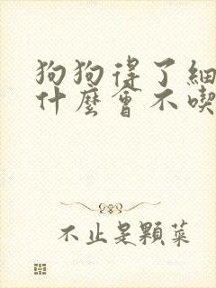 狗狗得了细小为什么会不吃东西了